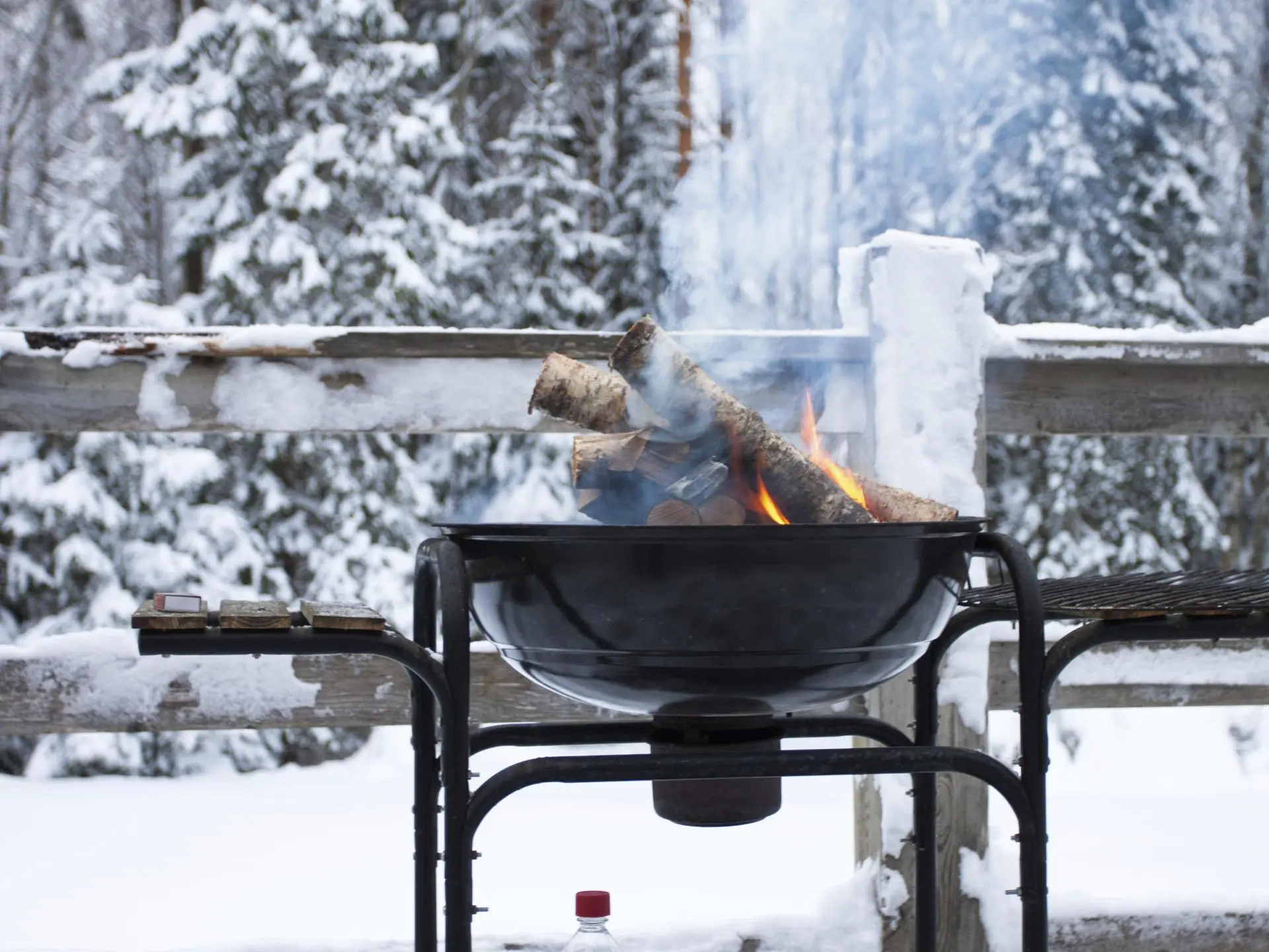 wintergrillen_1 wintergrillen_1